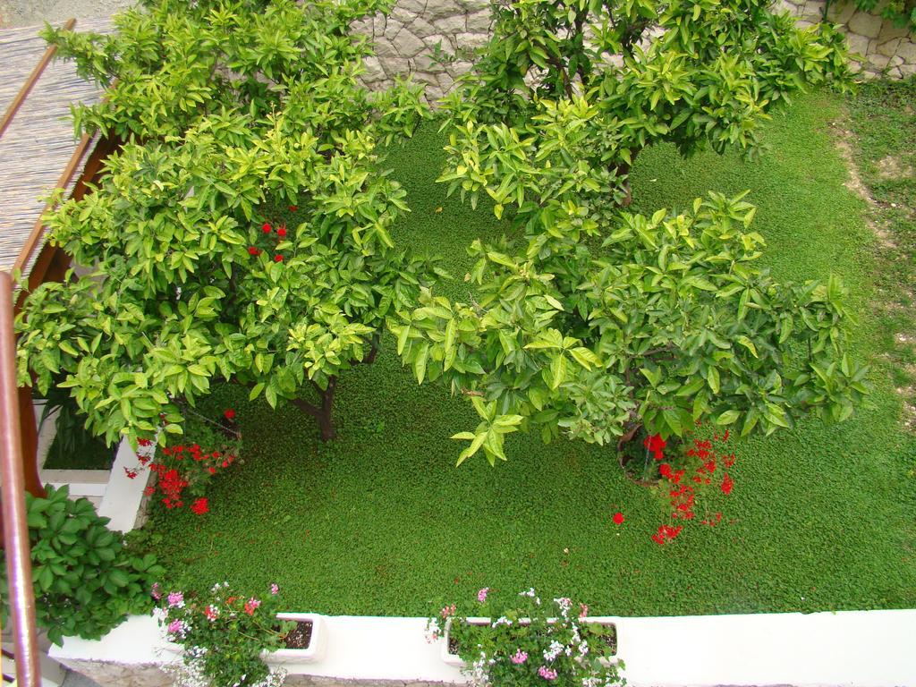 דוגי ראט Apartments Villa Sunce מראה חיצוני תמונה