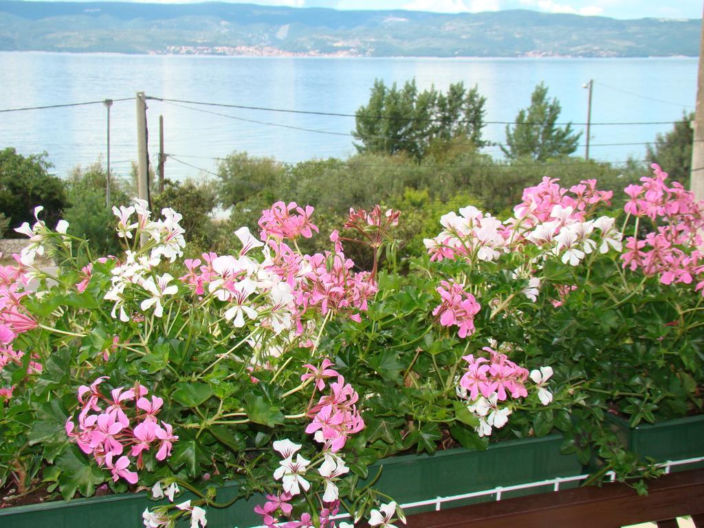 דוגי ראט Apartments Villa Sunce חדר תמונה